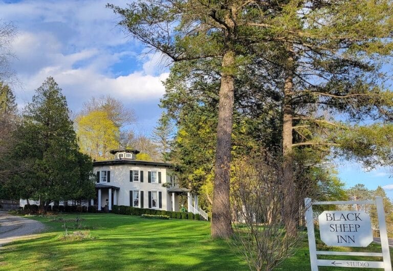 Affiliate Listing:  Black Sheep Inn & Spa for sale in Hammondsport, New York